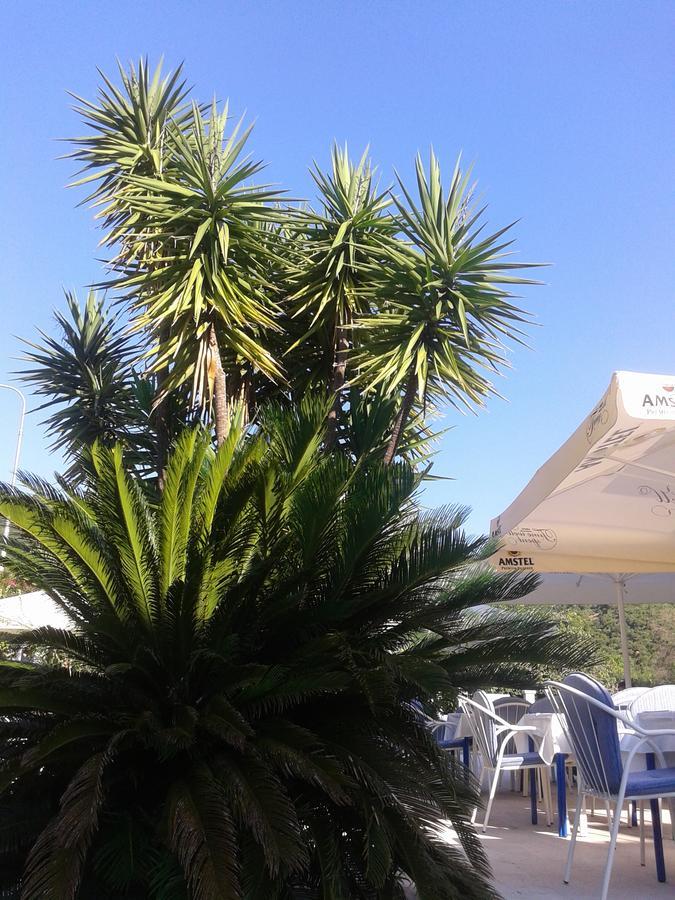 Hotel Jovana Budva Extérieur photo